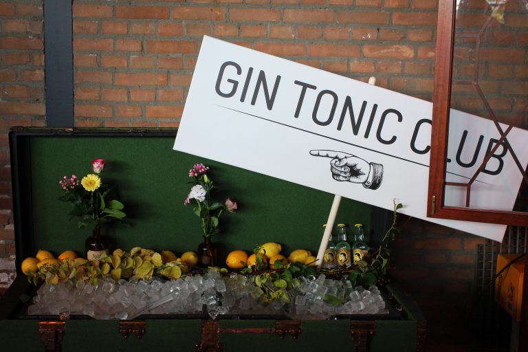 18 Best Gins For A Gin And Tonic