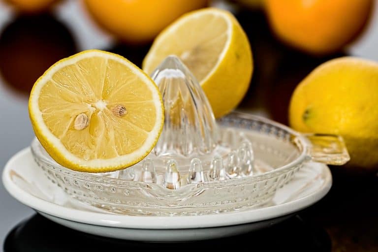 The 14 Best Lemon Gins (Crisp And Refreshing)