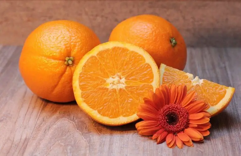 Best Orange Based Gins