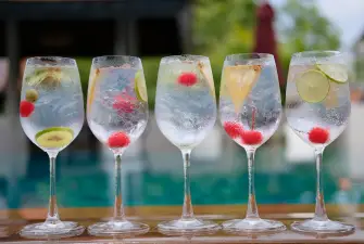 Gin 101: Guide To The Different Types Of Gin And Their Uses