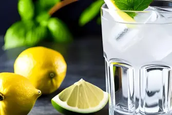 From Classic Cocktails to New Twists: How to Drink Gin Your Way